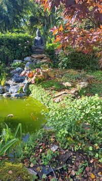 Visite découverte du jardin de l'été Indien à Montlouis-sur-Loire