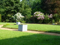 Visite d'une suite de jardins autour d'un manoir du XIII et XIV siècle à Précigné