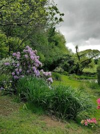 Déambulation dans un jardin aux multiples ambiances à Saint-Yrieix-la-Perche