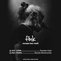 Fink à Villeurbanne