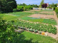 Visite d'un potager bio à Auvers-Saint-Georges