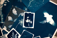 Atelier cyanotype privatisé à Chambéry