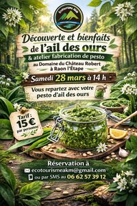 Découverte et bienfaits de l'ail des ours à Raon-l'Étape