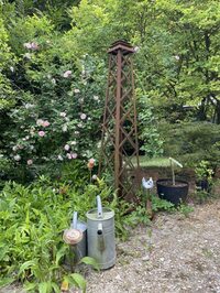 Ouverture du jardin "le Parc fleuri" à Marson