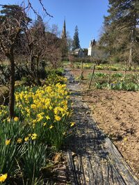Visite du parc et du jardin du château d'Epiré, 10 rue Thierry sandre, 49170 Sav à Savennières