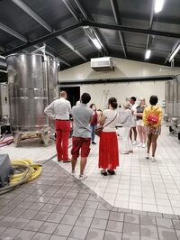 [Visite de cave]: Domaine Eric Louis à Thauvenay