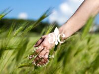 La biodiversité des bardeaux de l’Indre à Rivarennes