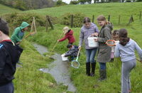 Atelier nature (6-12 ans) : autour de la mare à La Hague