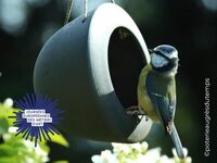 Journées Européennes des Métiers d'Art > Poterie Au Grès du Temps à Montsenelle