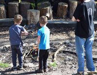 Techniques préhistoriques à Boult-aux-Bois