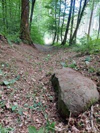 Rando nature à Boult-aux-Bois