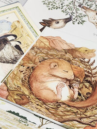 "La Bébé-Bib" : les toutes petites lectures à Marseille 4e