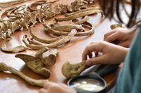 Qui a tué Oscar ? à Lyon 7e