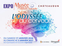 Exposition "l'odyssée du cerveau" à Châteaudun