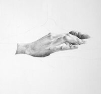 Sous les yeux d'Ingrid Buffetaut à Lille