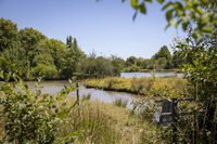 Préservons la biodiversité : du Parc Floral à la Réserve Ecologique des Barails à Bordeaux