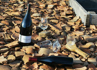 Rencontre vigneronne à Corent à Veyre-Monton