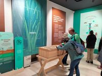 Visite flash de l’exposition temporaire « Les méandres du passé » ! à Pierre-de-Bresse