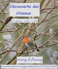 Découverte des oiseaux à Assay