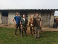 Talents d’Ici – Visites d’entreprises en Cingal–Suisse Normande - Ferme des Cèdr à Martainville