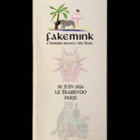 Fakemink à Paris 19e