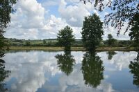 Rando nature à Buzancy