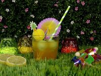 Summer Party à Wasselonne