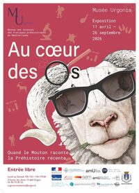 Visite commentée de l’exposition temporaire « Au cœur des os, quand le mouton ra à Orgon