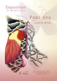 Exposition : Papillons à Châteauroux