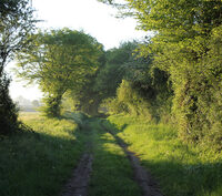 Visite "Le bocage aux aurores" à Bruère-Allichamps