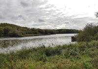 Événement Nature & Vous - Voyageurs ailés : les secrets de la migration à Aubigny-au-Bac