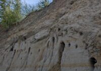 Événement Nature & Vous - Visite de la sablière d'Hamel à Hamel