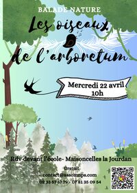Les oiseaux de l'arboretum à Vire-Normandie