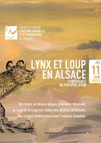 Lynx et Loup en Alsace à Colmar