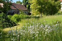 Visite commentée pour scolaires accompagnés d’un jardin préservant la biodiversi à Étampes