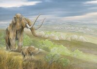 "Du Rozel à Tatihou, quand l'homme de Néandertal occupait le Cotentin" par Domin à Saint-Vaast-la-Hougue