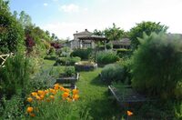 Déambulation dans un cadre champêtre à Saint-Amant-de-Boixe