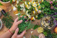 Conférence sur la naturopathie à Saint-Hilaire-de-Brethmas