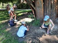 Stage avec le Quai des Curieux à Toulouse