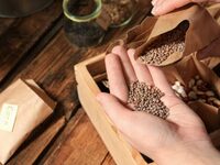 La grainothèque de la maison du jardinier à Bordeaux