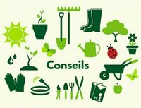 Ne vous plantez plus à Bordeaux