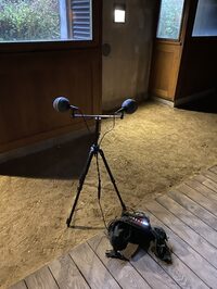 )) Archi_textures sonores (( à Mayenne