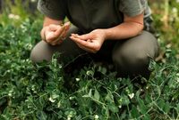 La Maison du jardinier et de la nature se déplace dans votre quartier ! à Bordeaux