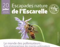 Le monde des pollinisateurs : enquête SPIPOLL à La Celle