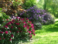 Visite libre du jardin à Épinay-sur-Odon