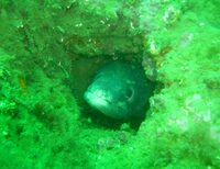 Visite guidée de notre exposition "Eau, l'expo", suivie des collections permanen à Nîmes