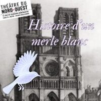 Histoire d'un Merle Blanc - Théâtre du Nord-Ouest, Paris à Paris 9e
