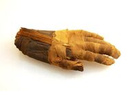 Votre nuit aux musées de Grasse - les musées prennent vie à Grasse