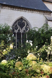 Visite guidée "Les jardins médiévaux" à Troyes