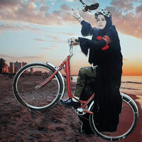 Bicyclette à Nantes